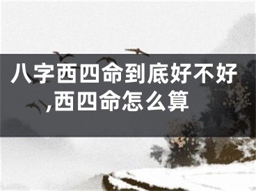 八字西四命到底好不好,西四命怎么算