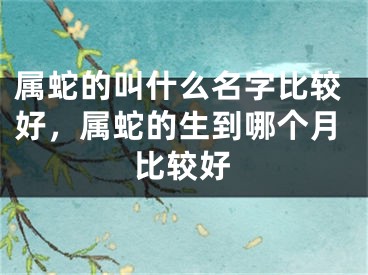 属蛇的叫什么名字比较好，属蛇的生到哪个月比较好