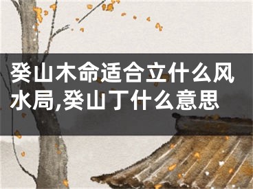 癸山木命适合立什么风水局,癸山丁什么意思