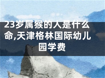 23岁属猴的人是什么命,天津格林国际幼儿园学费