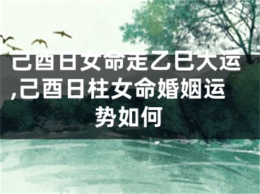 己酉日女命走乙巳大运,己酉日柱女命婚姻运势如何