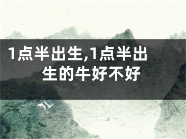 1点半出生,1点半出生的牛好不好