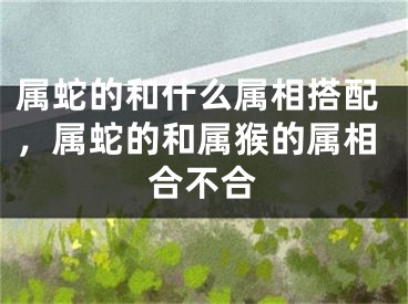 属蛇的和什么属相搭配,属蛇的和属猴的属相合不合