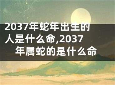 2037年蛇年出生的人是什么命,2037年属蛇的是什么命