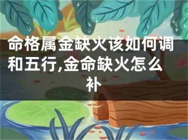 命格属金缺火该如何调和五行,金命缺火怎么补