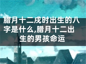 腊月十二戌时出生的八字是什么,腊月十二出生的男孩命运