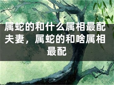 属蛇的和什么属相最配夫妻,属蛇的和啥属相最配