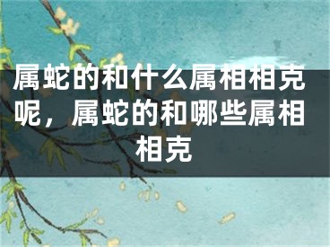 属蛇的和什么属相相克呢,属蛇的和哪些属相相克