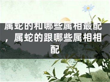 属蛇的和哪些属相最配,属蛇的跟哪些属相相配