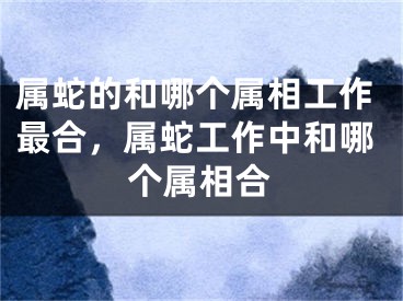 属蛇的和哪个属相工作最合，属蛇工作中和哪个属相合