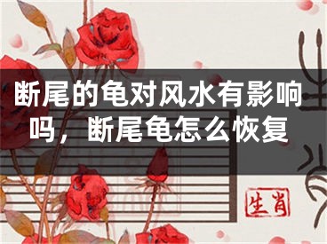 断尾的龟对风水有影响吗，断尾龟怎么恢复