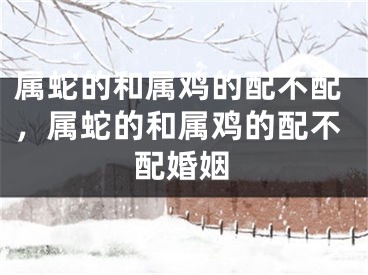 属蛇的和属鸡的配不配，属蛇的和属鸡的配不配婚姻