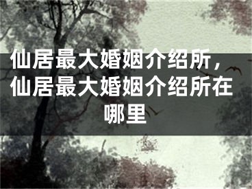 仙居最大婚姻介绍所，仙居最大婚姻介绍所在哪里