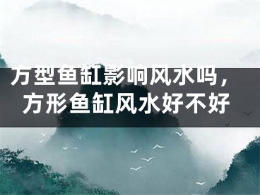 方型鱼缸影响风水吗,方形鱼缸风水好不好