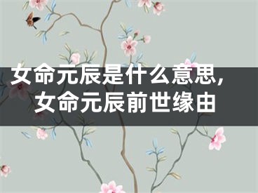 女命元辰是什么意思,女命元辰前世缘由
