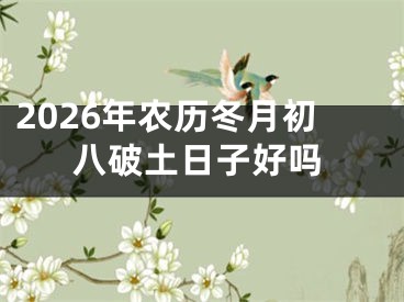 2026年农历冬月初八破土日子好吗