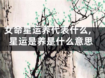 女命星运养代表什么,星运是养是什么意思