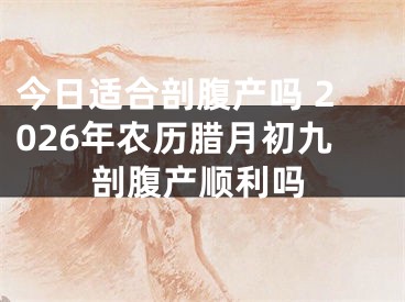 今日适合剖腹产吗 2026年农历腊月初九剖腹产顺利吗