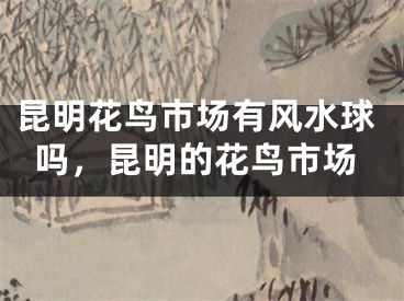 昆明花鸟市场有风水球吗，昆明的花鸟市场