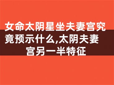 女命太阴星坐夫妻宫究竟预示什么,太阴夫妻宫另一半特征