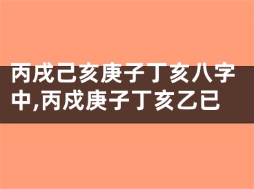 丙戌己亥庚子丁亥八字中,丙戍庚子丁亥乙已