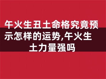 午火生丑土命格究竟预示怎样的运势,午火生土力量强吗