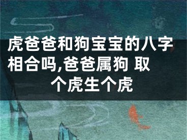 虎爸爸和狗宝宝的八字相合吗,爸爸属狗 取个虎生个虎