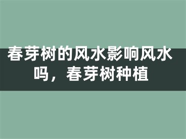 春芽树的风水影响风水吗，春芽树种植