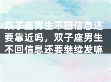 双子座男生不回信息还要靠近吗，双子座男生不回信息还要继续发嘛