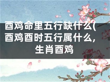 酉鸡命里五行缺什么(酉鸡酉时五行属什么,生肖酉鸡