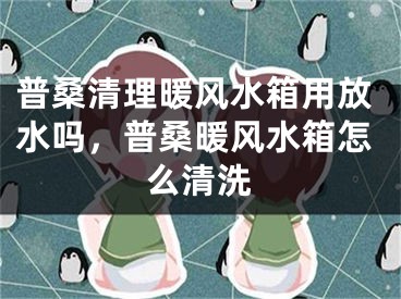 普桑清理暖风水箱用放水吗，普桑暖风水箱怎么清洗