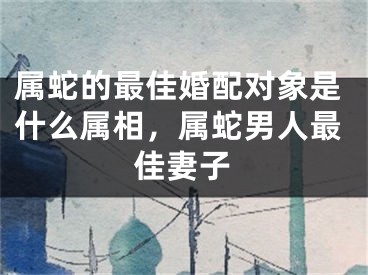 属蛇的最佳婚配对象是什么属相,属蛇男人最佳妻子