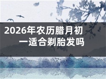 2026年农历腊月初一适合剃胎发吗
