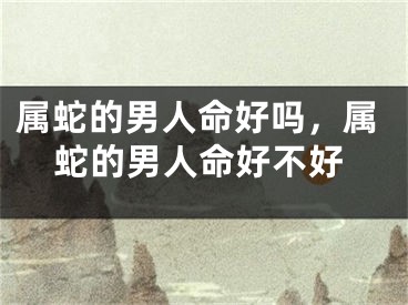 属蛇的男人命好吗,属蛇的男人命好不好