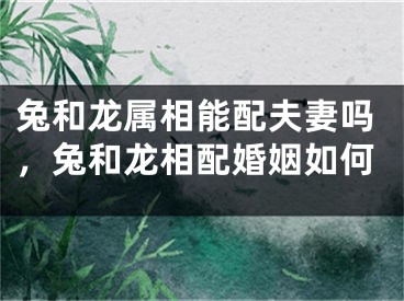 兔和龙属相能配夫妻吗,兔和龙相配婚姻如何