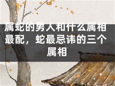 属蛇的男人和什么属相最配,蛇最忌讳的三个属相