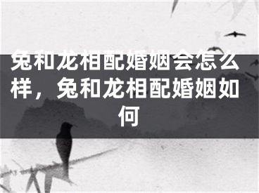 兔和龙相配婚姻会怎么样,兔和龙相配婚姻如何