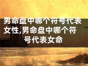 男命盘中哪个符号代表女性,男命盘中哪个符号代表女命
