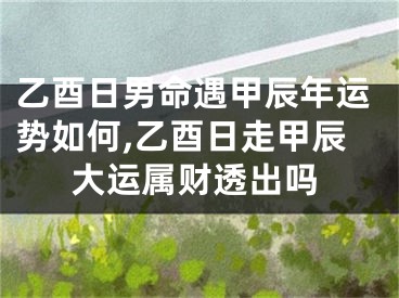 乙酉日男命遇甲辰年运势如何,乙酉日走甲辰大运属财透出吗