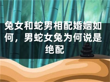 兔女和蛇男相配婚姻如何,男蛇女兔为何说是绝配