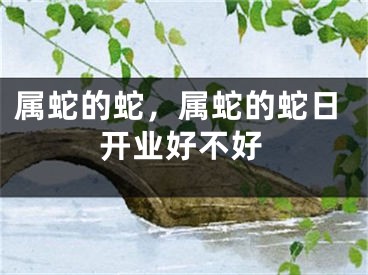 属蛇的蛇，属蛇的蛇日开业好不好