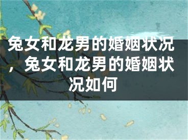 兔女和龙男的婚姻状况,兔女和龙男的婚姻状况如何