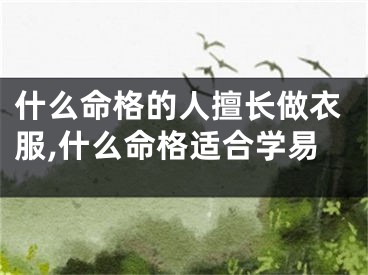 什么命格的人擅长做衣服,什么命格适合学易