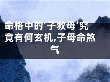 命格中的‘子救母’究竟有何玄机,子母命煞气