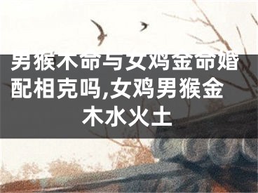 男猴木命与女鸡金命婚配相克吗,女鸡男猴金木水火土