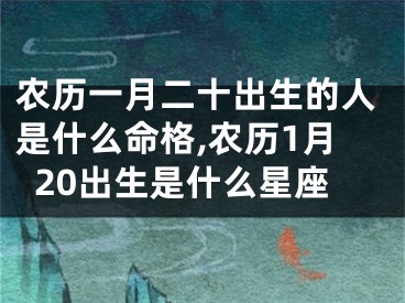 农历一月二十出生的人是什么命格,农历1月20出生是什么星座