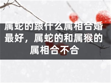 属蛇的跟什么属相合婚最好,属蛇的和属猴的属相合不合