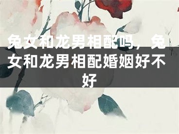 兔女和龙男相配吗,兔女和龙男相配婚姻好不好