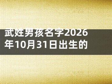 武姓男孩名字2026年10月31日出生的
