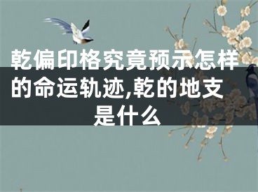 乾偏印格究竟预示怎样的命运轨迹,乾的地支是什么